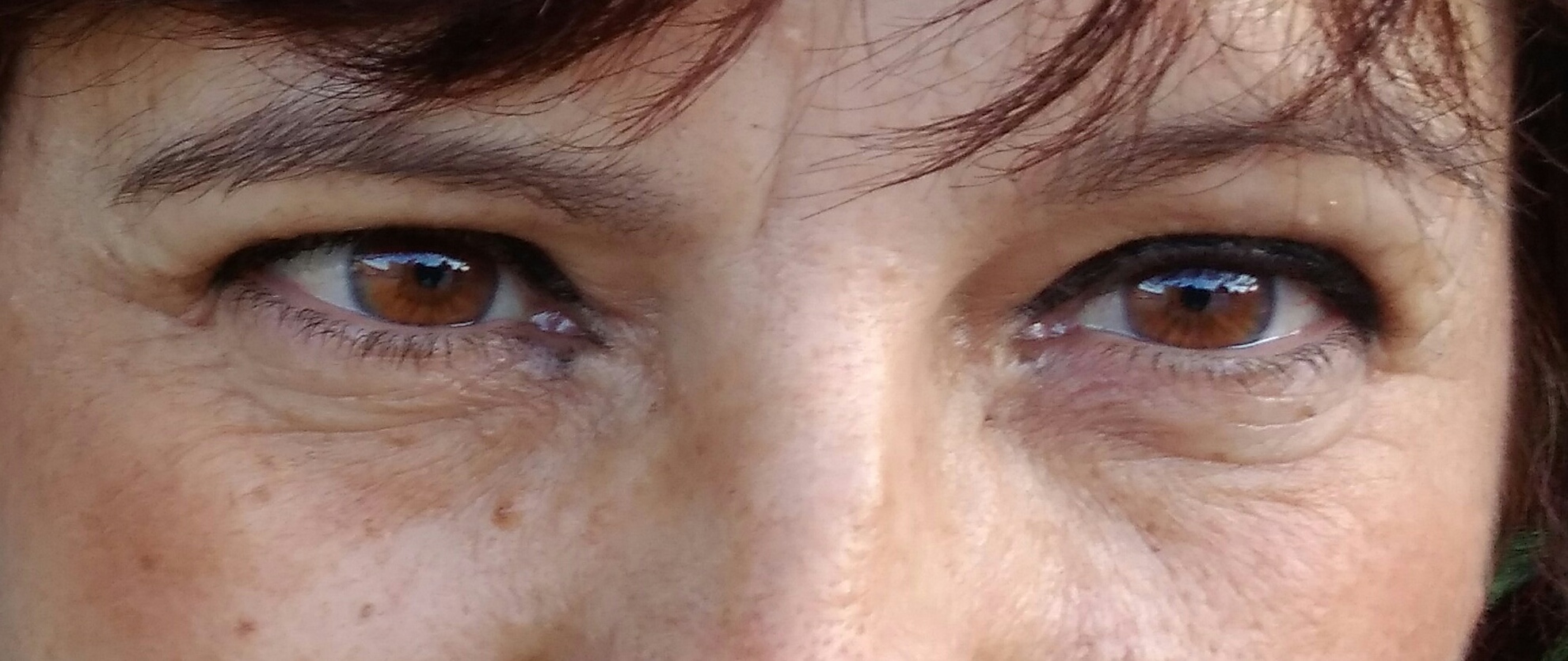 Salir de fiesta… o… no.