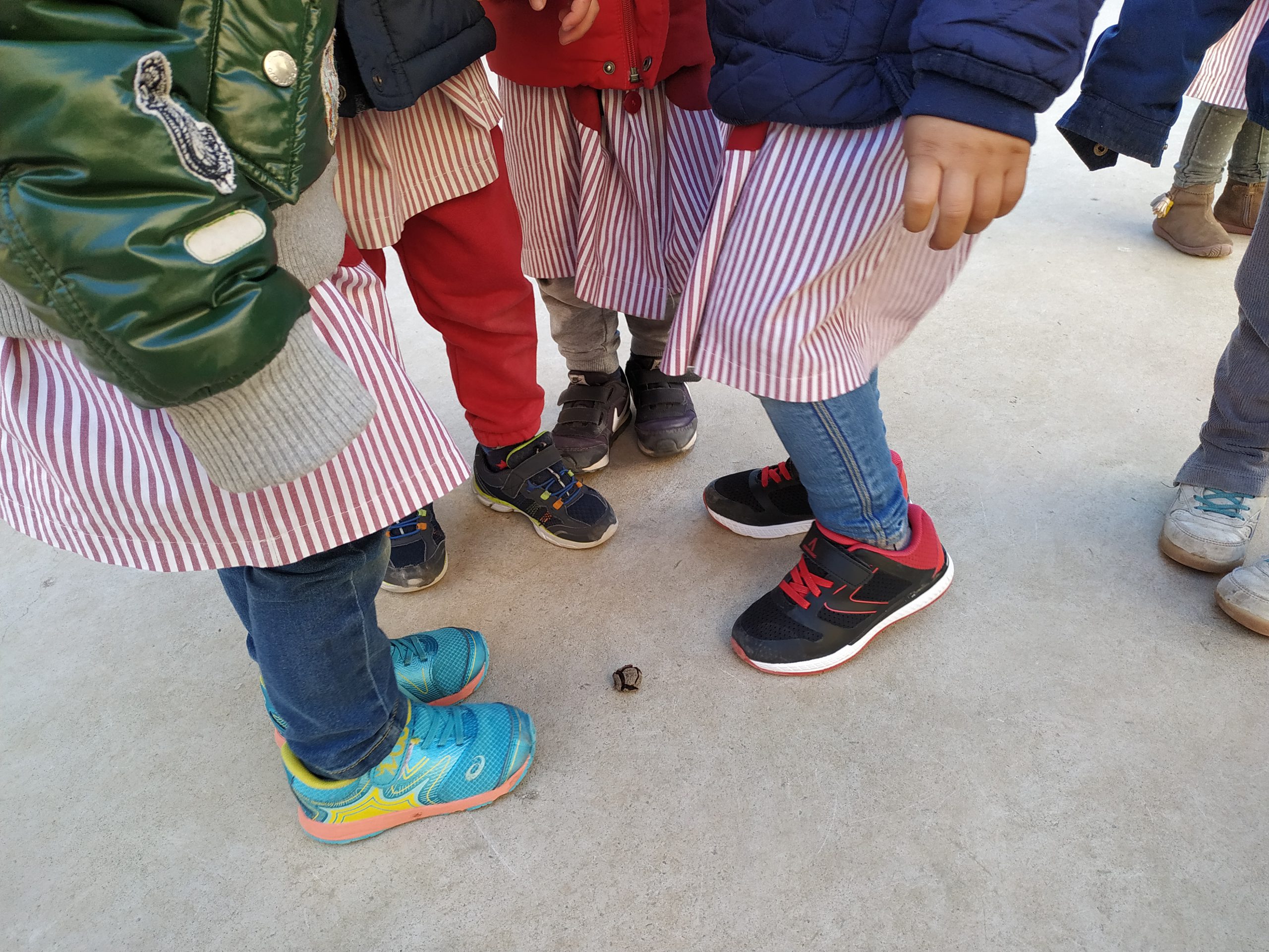 ¿A qué edad se es veterano?