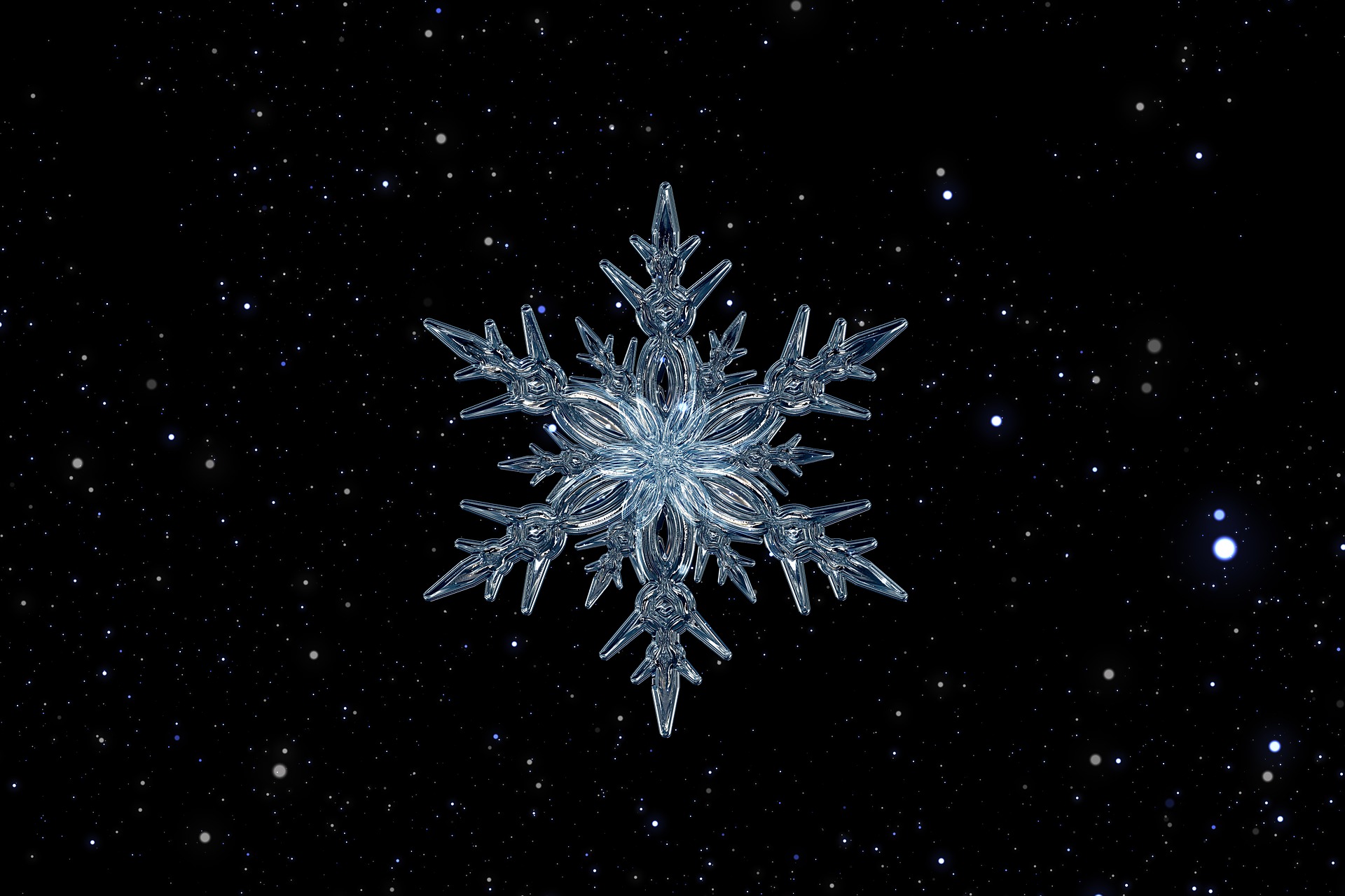 «Suéltalo, suéltalo»